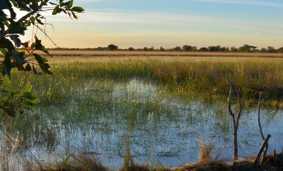Cameia National Park, Cameia, Moxico Province, Angola